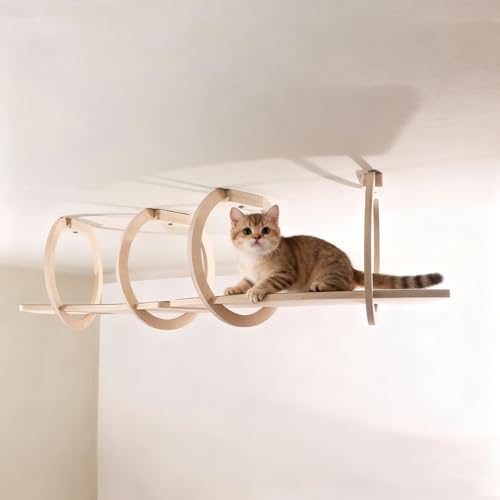 LpEH[Ƌ Ǌ| ؐ LbgXebv LbgEH[N L͂ ubW XNb`|Xg @\ LWv Rgݗ DIY ǂ̏h~ 2i L̋󒆎UH XJCRh[(2i)