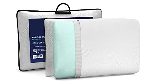 ZenPur Oreillers en Mousse à Mémoire de Forme Soft Lot de 2 (60 x 40cm) - Forme Ergonomique - Housse Fibre de Bambou - Fabriqués en Europe - Certification Oeko TEX - Acceptent Une Taie de 50x70cm Cover