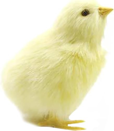 V~[VЂ悱AcCXg`LAЂ悱u { AȒ Ђ悱́A Ђ悱 u qRA`LfI[ig`LЂ悱̐l`AFm`Lf̒u