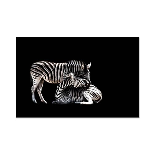 Animaux sauvages art impressions sur toile : tableau déco zèbres noir et blanc 70x105cm