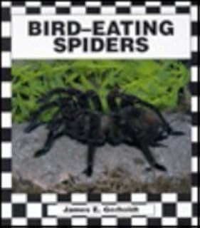 Bird-Eating Spiders