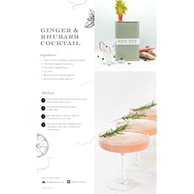 Buy Gin In A Tin – Rhubarb, Cinnamon & Ginger London Dry Gin with Natural Botanicals in Sustainable 50cl Packaging