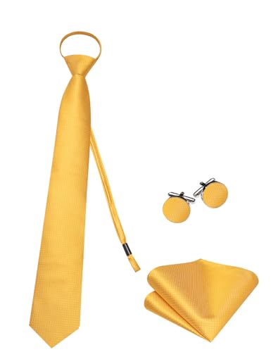 Image of Hi-Tie Zipper Ties for Men Pre-tied Tie Set Lapel Pin Pocket Square and Cufflinks Formal Business Wedding Adjustable Necktie