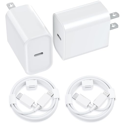 Chargeur Type C 20W rapide et bloc de charge double avec câble USB C 1,8m pour smartphone récent