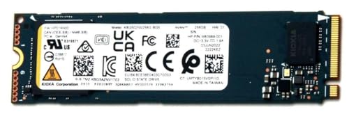 KIOXIA BG5 Client SSD 256GB M.2 2280-S2 - KBG50ZNV256G