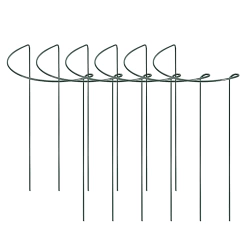 Lot de 6 piquets de support de plantes en métal de 35 x 20 cm pour plantes grimpantes pour légumes, hortensia, fleurs, vigne