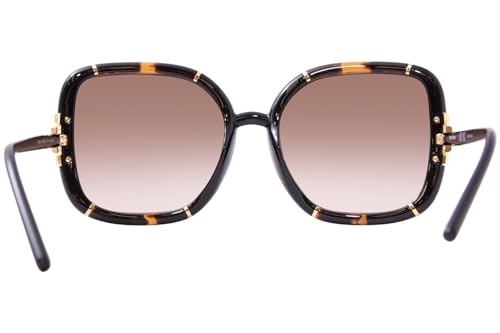 Sunglasses Tory Burch TY 9071 U 189613 Dark Tortoise/Black4