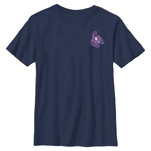 FORTNITE Boys' Fierce Llama T-Shirt