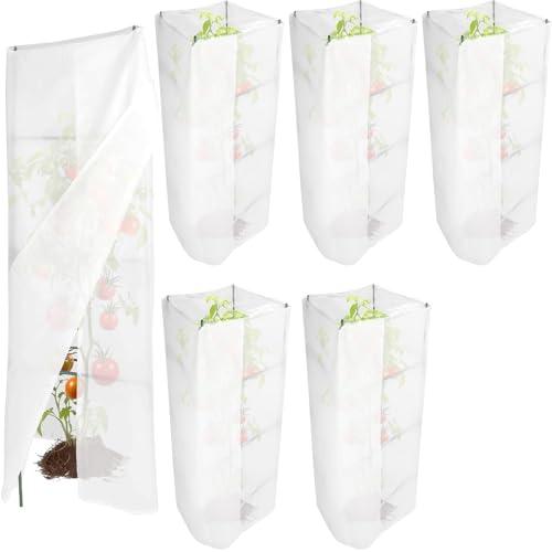 6-Pack Winter Plant Cover with Clear Top, Fits Tomato Cages