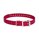 SportDOG Brand 3/4 Inch Collar Strap