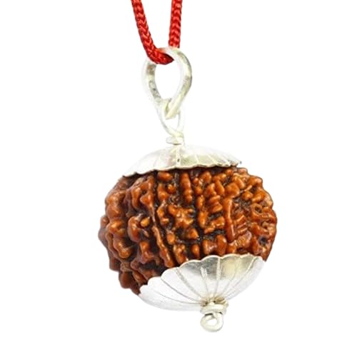 Natural 18 Mukhi Nepal Rudraksha Prayer Bead अठारह मुखी रुद्राक्ष Brown Color Attahrah Mukhi Rudraksha With Silver Pendant Original Lab Tested For Dhyan-image-26