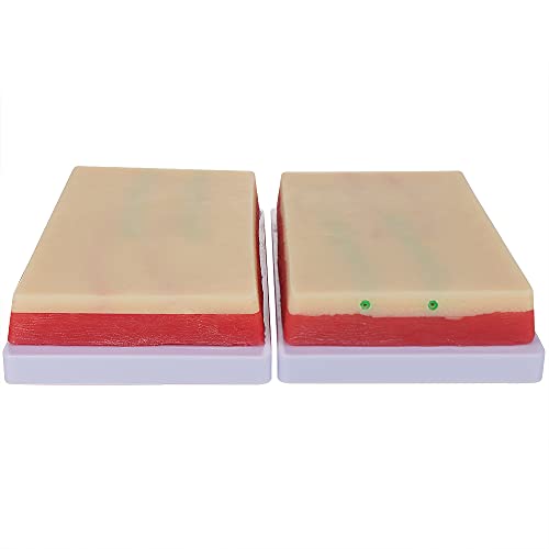 Image of 2 Pack Venipuncture IV Injection Training Pad Model, Silicone Human Skin Suture Training Model, Injection Practice Pad,4 Veins Imbedded, 3 Skin Layers