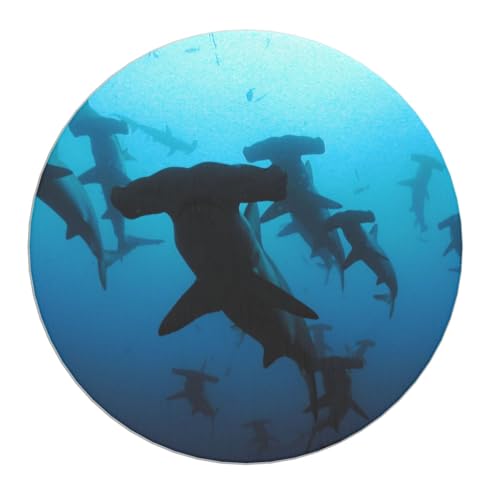 Dessous de verre requins marteaux anti-condensation pour protéger la table - 8