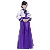 CBTRFASHION Korean Girls Kids Children Hanbok Costume Dress Outfit Set (Purple, 10-12Years(150cm))