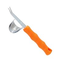 さぬきたかおページです。 令和黒ラメ幹之サファイア 【現物】 オス2匹メス2匹 サイズM～L