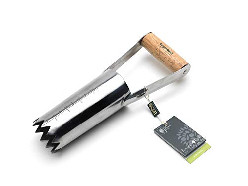 Burgon & Ball Stainless Steel Bulb Planter - RHS Endorsed