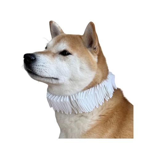 Disfraz medieval para perro talla XL con cuello blanco miniatura 3