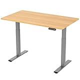 E.For.U® höhenverstellbarer Schreibtisch 140x80 cm, 2 Motoren, elektrisch höhenverstellbares Tischgestell mit 2-Fach-Teleskop, Memory-Steuerung (Silber), DT20L mit Tischplatte (Buche)