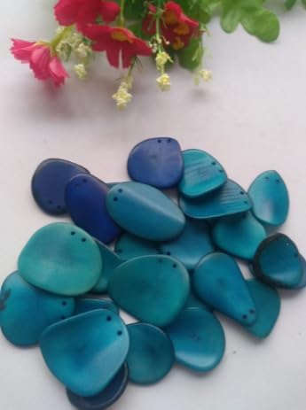 20 Blue Slices Curved - Nail Shape from Colombia Rainforest. Top drilled Two Holes. Size: 3 x 2cm R-1046