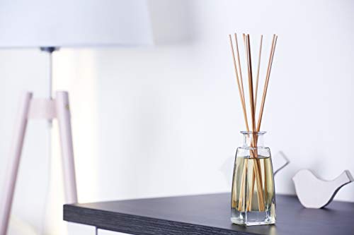 Premium Penguin Lampe Berger Orange Cinnamon Fragrance Refill for Home Fragrance Oil Diffuser Bundle - 16.9 Fl Oz (500mL) - Comes with a Wick Burner and Lamp Instructions Postcard