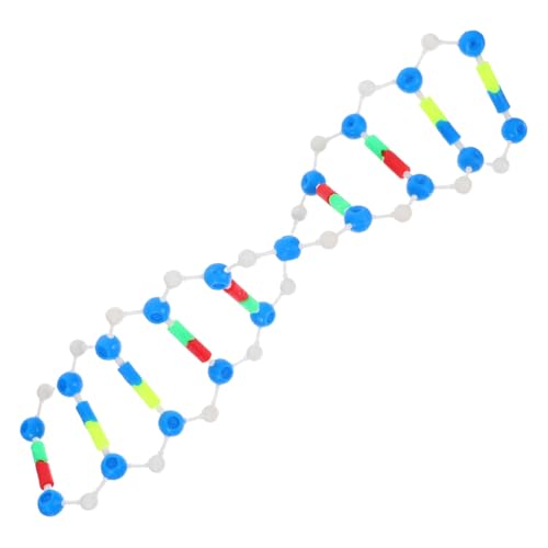 HOMOBABE Biology Class Kit DNA Structure Model Helix Demonstration for Educational DNA Learning Tool