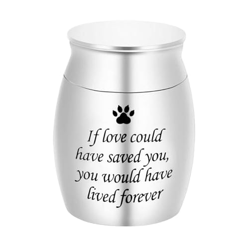 QUXVUIS ٍň S ՑՎv[hj[YٕۑybgLOۑr, 