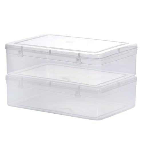 Image of Sthavir Premium Plastic Storage Boxes, Transparent Containers, Large Boxes With Lock System for Jewellery /Medicines /Stationery /Cosmetics /Accessories - 28x19x7 Cm - 3750 ML - Pack of 2 (Size No. - 8)