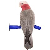 Sweet Feet and Beak Safety Pumice Perch Bird Toy - Trims Nails and Beak Like Pet Grooming Clippers -