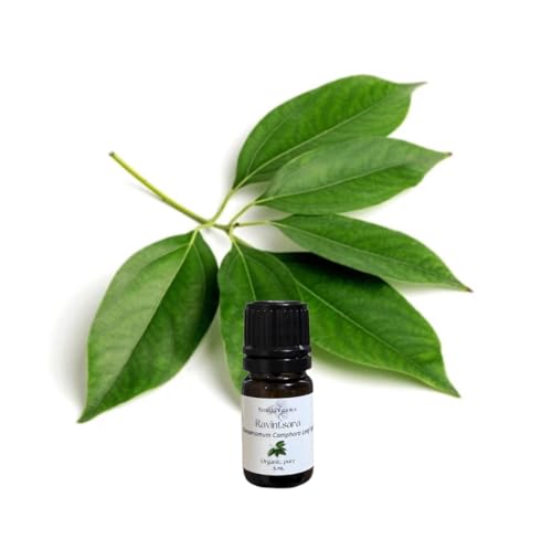 Aceite Esencial de Ravintsara Orgánico Puro 5 mL miniatura 1