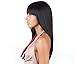ISIS BROWN SUGAR Human Blended Full Wig - BS103#1 - Jet Black by ISIS HAIR
