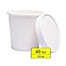 Belinlen 40 Count (16 oz) One - Pint Frozen Dessert Containers with Lids Ice Cream Cups with Lids