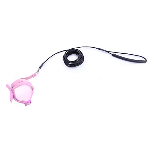 SOWUNO-Bird-Harness-and-Leash-Set-Lovely-Creative-Parrot-Harness-Bird-Walking-Rope-with-Leash-Pet-Harnesses-for-Birds-Harnesses-Training-Rope