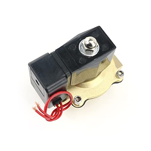 Électrovanne DN15 AC220V pour automatiser l'arrosage du jardin et sécuriser la maison
