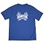 Hampton University/R/Primary Logo/Yt