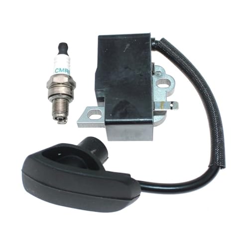 Module de bobine d'allumage pour réparer les pannes de démarrage FS100