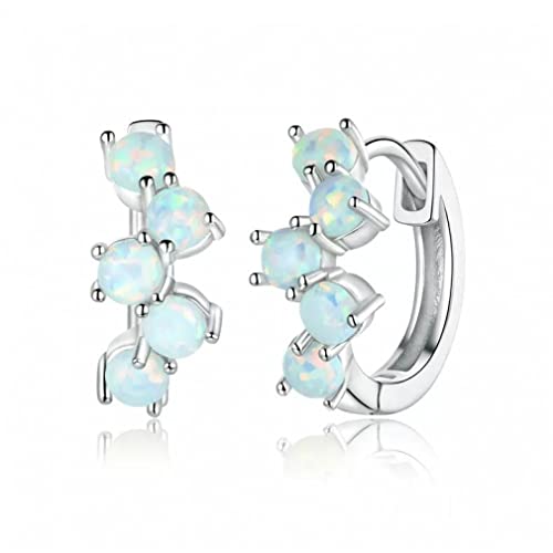 Boucles d'oreilles à tige pour femmes | Bijoux fins à offrir en cadeau unique
