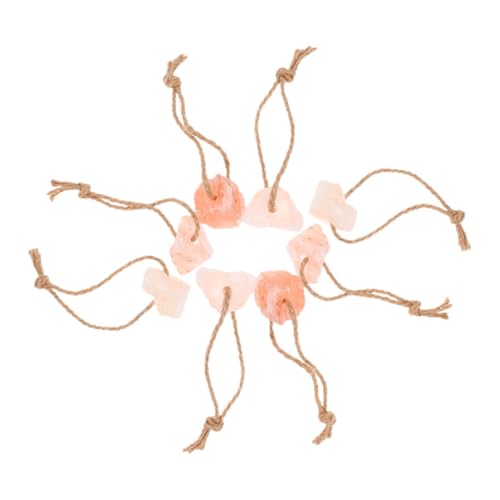 Totority 8?f땲?????? ݂艺[vt VR  n  