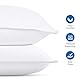 Utopia Bedding KopfKissen (2er Set), 60 x 60 cm Schlafkissen, Atmungsaktiv et Weich Kissen (Weiß)