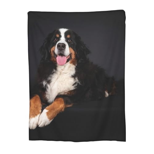 ѕz o[j[Y}EehbO  Aj Ђ| y  uPbg tl 􂦂 ÓdCh~ g _炩 Ȃ߂炩ȔG lGKp 76cm×102cm