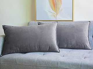 Lutanky Pack of 2 Velvet Cushion Covers Light Grey Decorative Rectangle Throw Pillow Case Soft Flanges Pillowcases for Sofa Bedroom with Invisible Zipper 12x20 Inch 30 x 50 cm