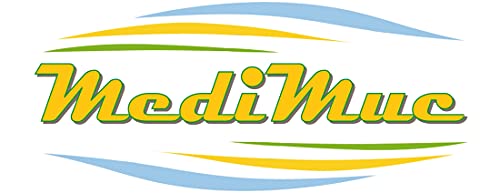MediMuc große Truhe Stollen - wunderschöne Bedruckte Stollendose mit Motiv Nürnberg - lebensmittelecht - Aufbewahrungsdose, Keksdose - Maße: (Länge x Breite x Höhe): 27,5 x 18,7 x 14,2cm