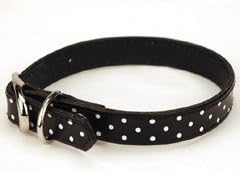 Classy Black Leather Dog Collar with White Dots (Large)