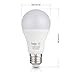 tento Lighting 12v LED Bulbs 12w Daylight White 6000k 1200lm Super Bright Low Voltage Light Bulb Replaces 75w Halogen Bulbs for Off Grid Living Solar Powered Lighting 12VAC 12VDC E26 RV Lightbulb