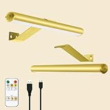 TINTINDOC Battery Picture Lights 2 Pack Painting Lights with Remote,Full Metal Rechargeable Picture