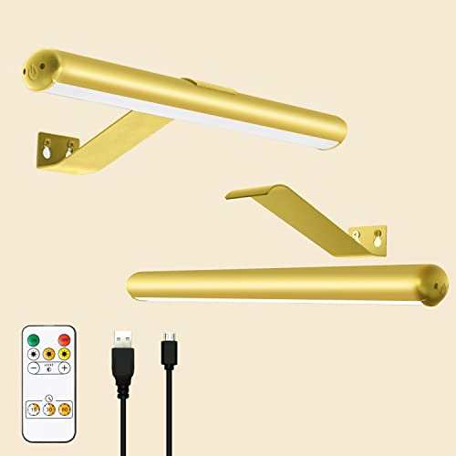 TINTINDOC Battery Picture Lights 2 Pack Painting Lights with Remote,Full Metal Rechargeable Picture Light Art Light for Painting Display, 300LM 13.5'' Dimmable for Picture Posters Artwork with Patent