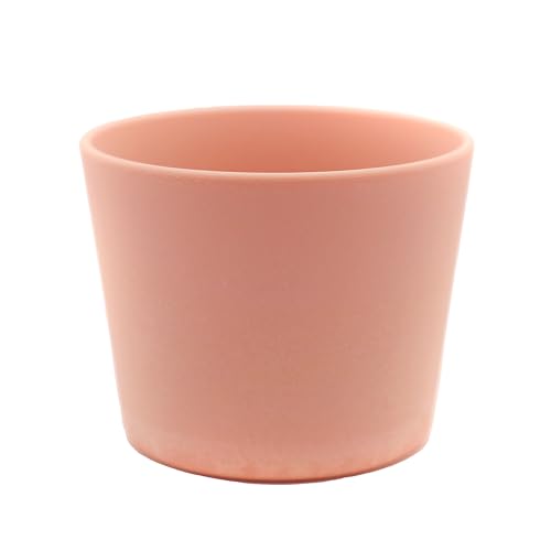 mKP(Nogakel) Nogakel Rbv HΉ R ܂ MC004