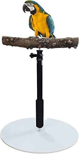 ToHLo Parrot Stand Perch,37