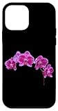 Stylish Gorgeous Orchids Flowers Shapes Mania