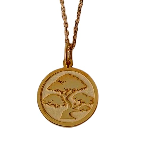 Pendentif arbre bonsaï argent plaqué or avec chaîne 45cm