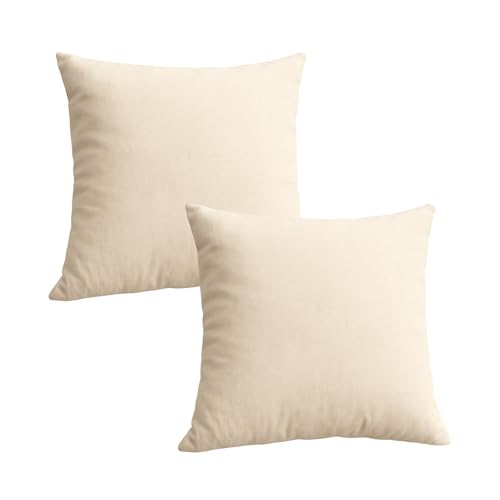 Trendy Home 16x16 100%VRRbg X[s[CT[g (2Zbg) xbhƃJE` lߕ h  z[ AEghA \t@  tB[ (2pbN)